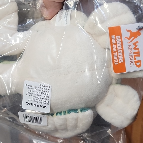 Mini sea turtle - Picture 3 of 4